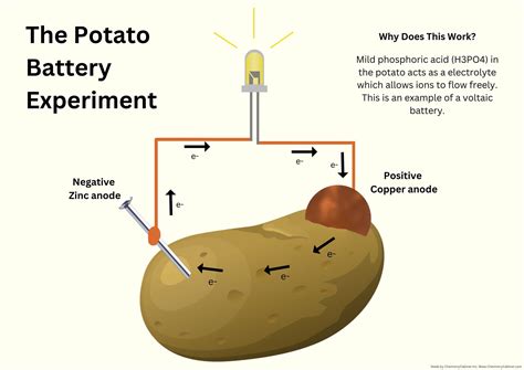 science fair potato battery|Potato Battery Science Project .